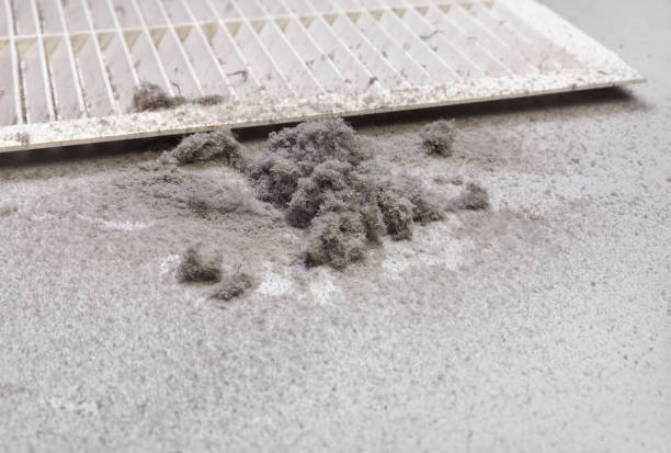 Best Affordable HVAC Duct Cleaning  in Howards Grove, WI
